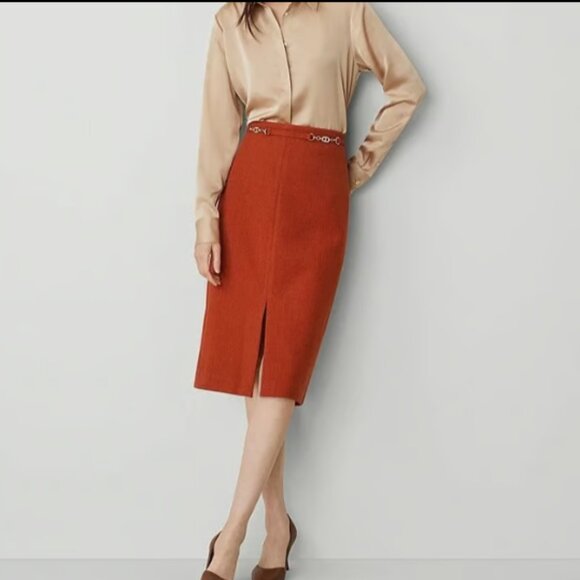 ANN TAYLOR PENCIL SKIRT BASKETWEAVE CHAIN LINK SLIT SKIRT FRESH CLAY RUST ORANGE - Picture 1 of 9